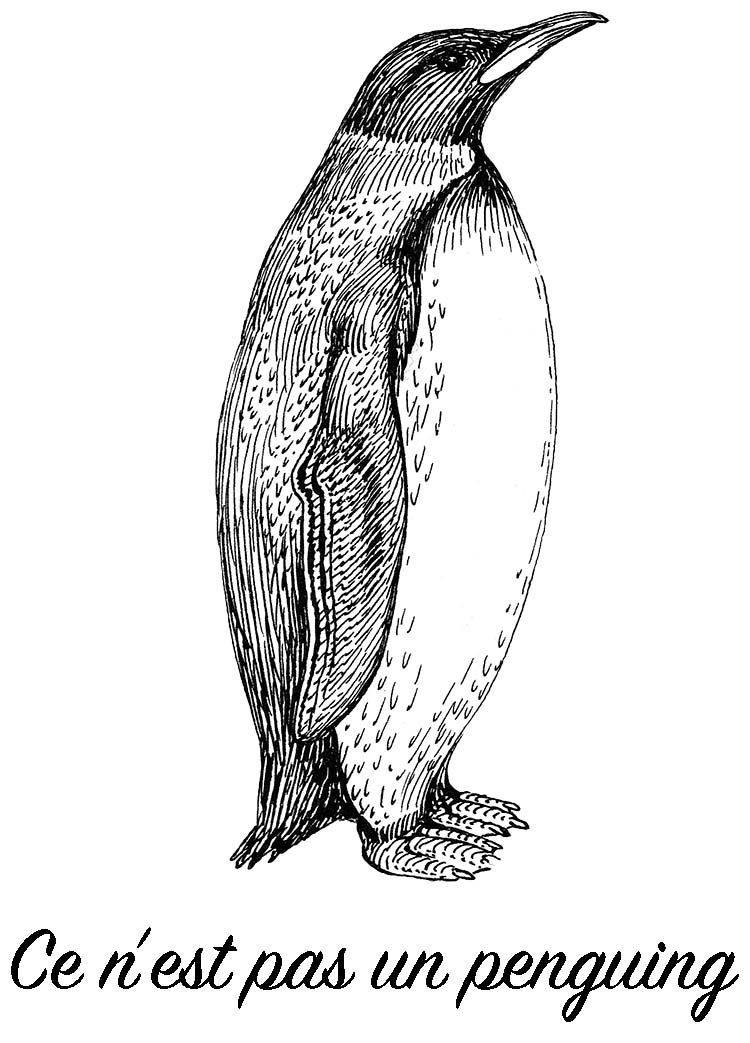 Not a picture of a penguing